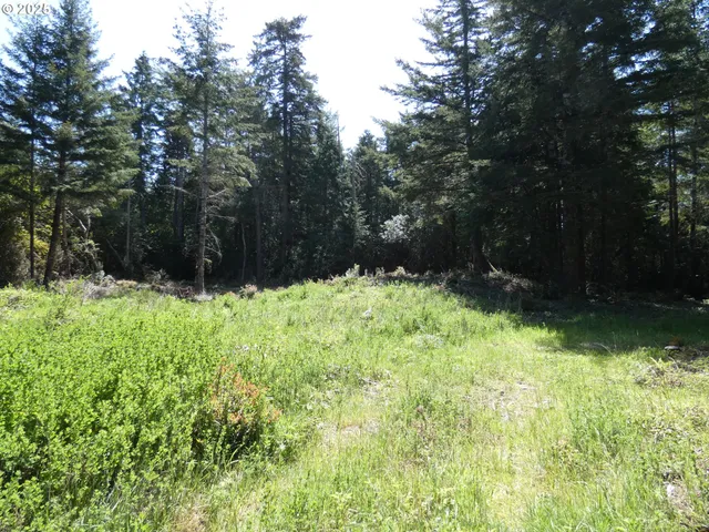 $1,100,000 | 47615 Oregon Coast Highway, Bandon, OR 97411