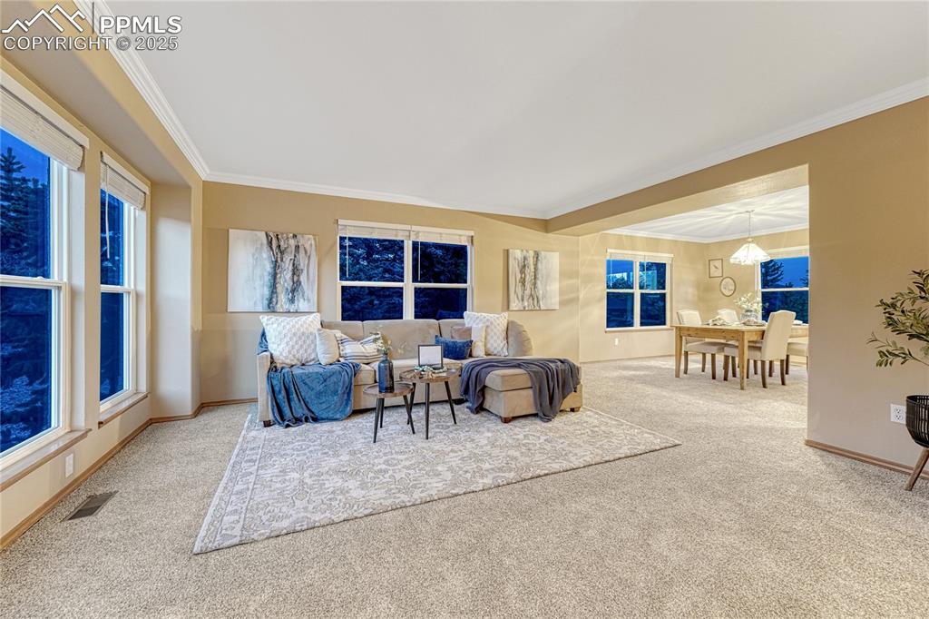 5514 Saxon Lane Colorado Springs, CO 80918 - Photo 12 of 50 a living room with furniture rug and window