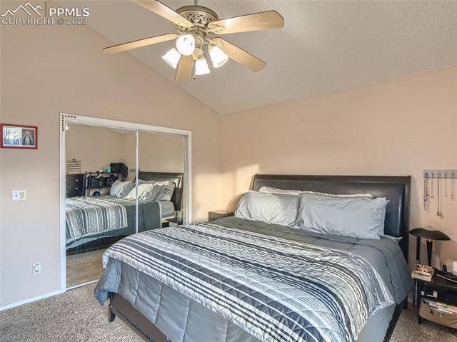 219 Talus Road Monument, CO 80132 - Photo 9 of 25 Master bedroom