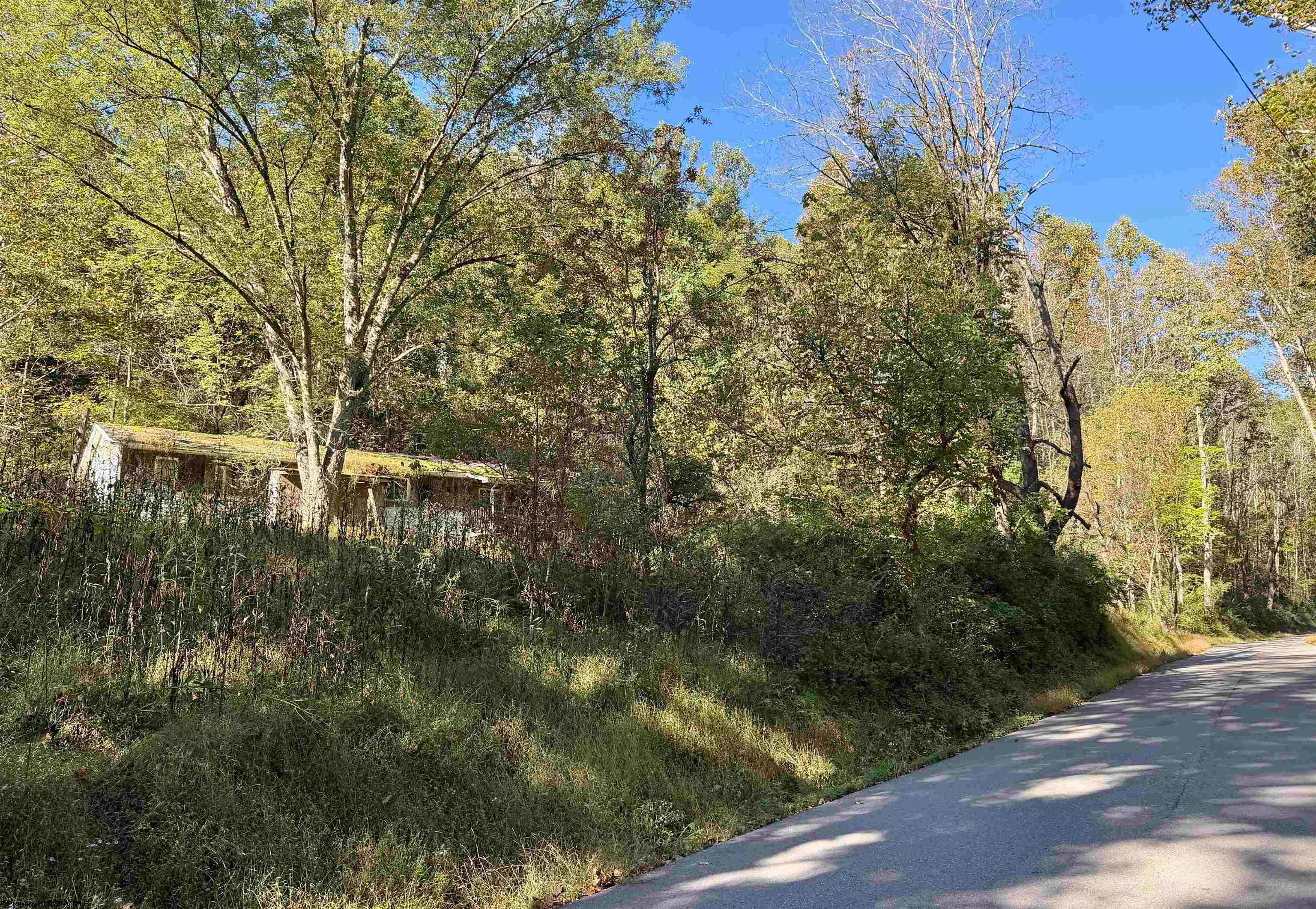317 Grove Summers Road New Milton, WV 26411 - Photo 20 of 26 Gallery Image 20