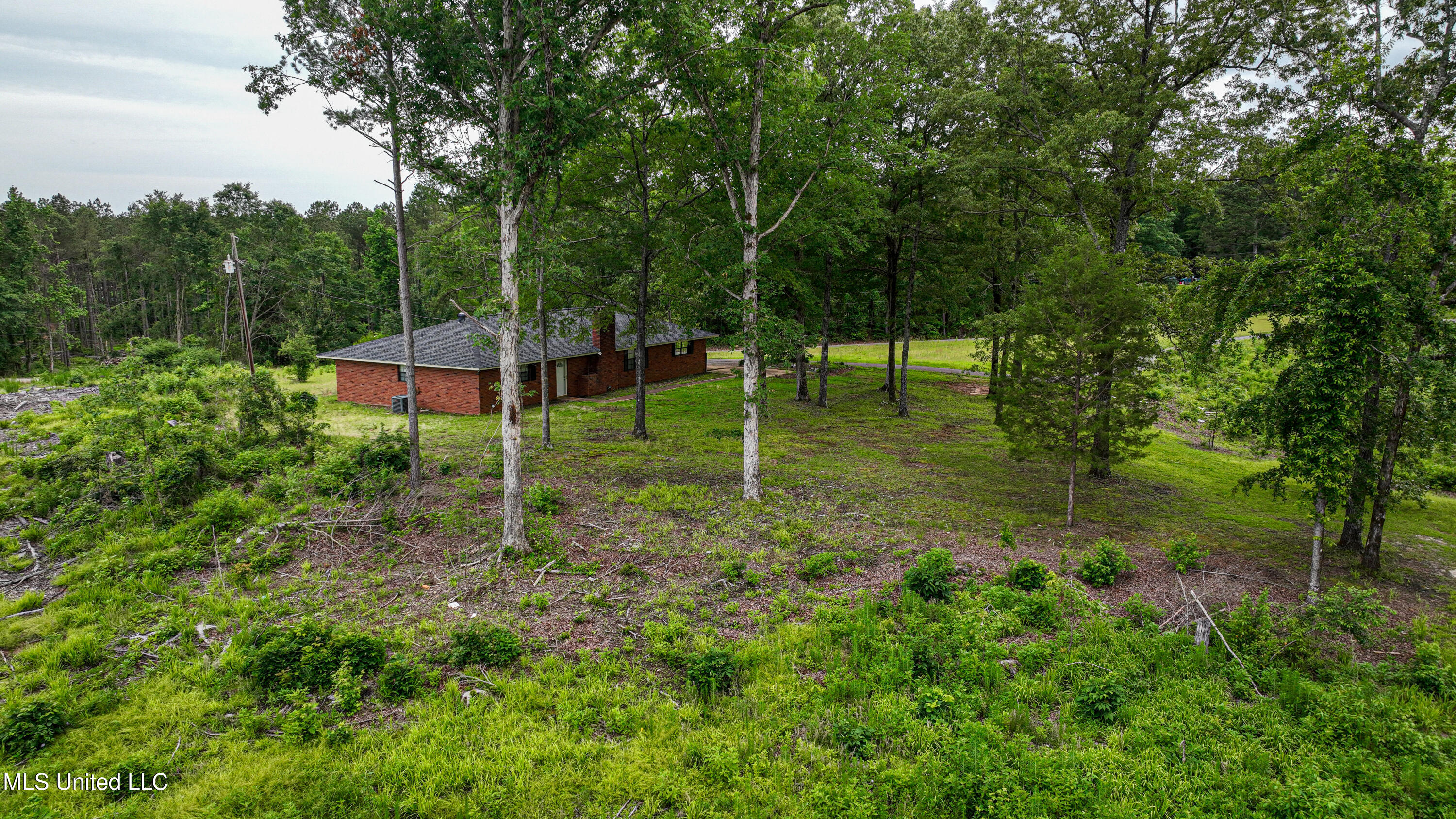 40231 Rye Bottom Road Hamilton, MS 39746 - Photo 5 of 32 DJI_0728-2