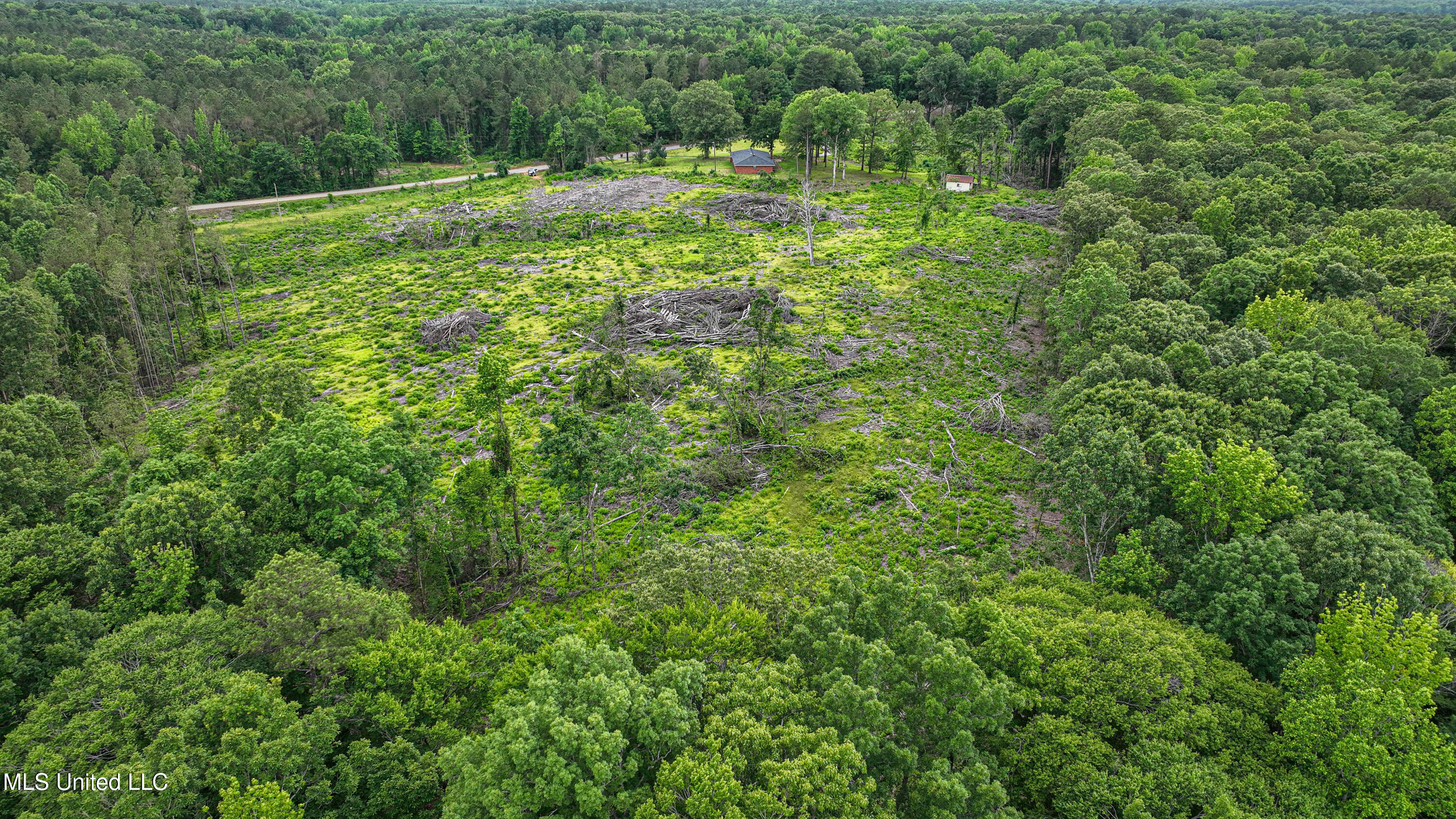 40231 Rye Bottom Road Hamilton, MS 39746 - Photo 7 of 32 DJI_0726-2