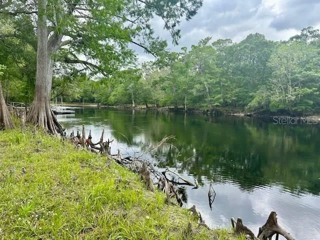 a body of water with a tree in the background