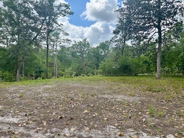 Northeast 22nd Court Branford, FL 32008 - Photo 4 of 9 a view of a yard with trees in the background