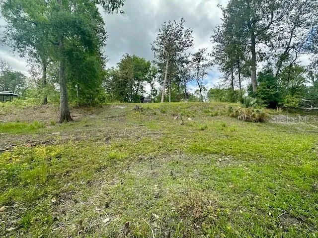 a view of a yard with a tree