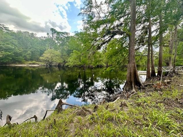 Northeast 22nd Court Branford, FL 32008 - Photo 8 of 9 a view of a lake with a tree