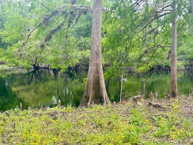 Northeast 22nd Court Branford, FL 32008 - Photo 9 of 9 a backyard of a house with lots of green space