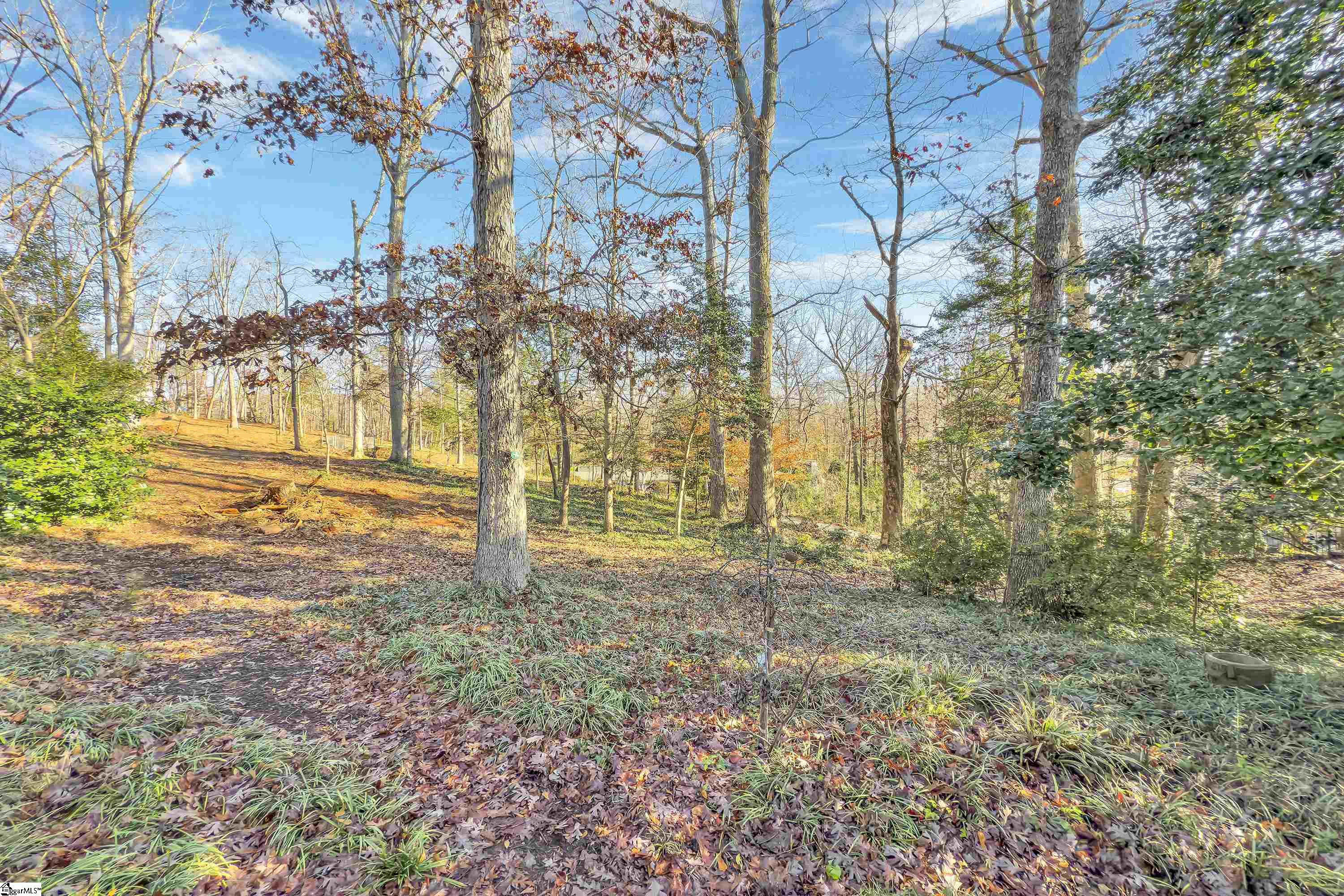 1807 Cleveland Street Extension Greenville, SC 29607 - Photo 31 of 36