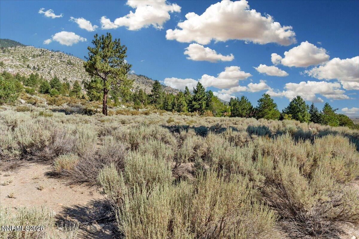 1211 Quail Ridge Road Gardnerville, NV 89460 - Photo 15 of 18 15-Photo13