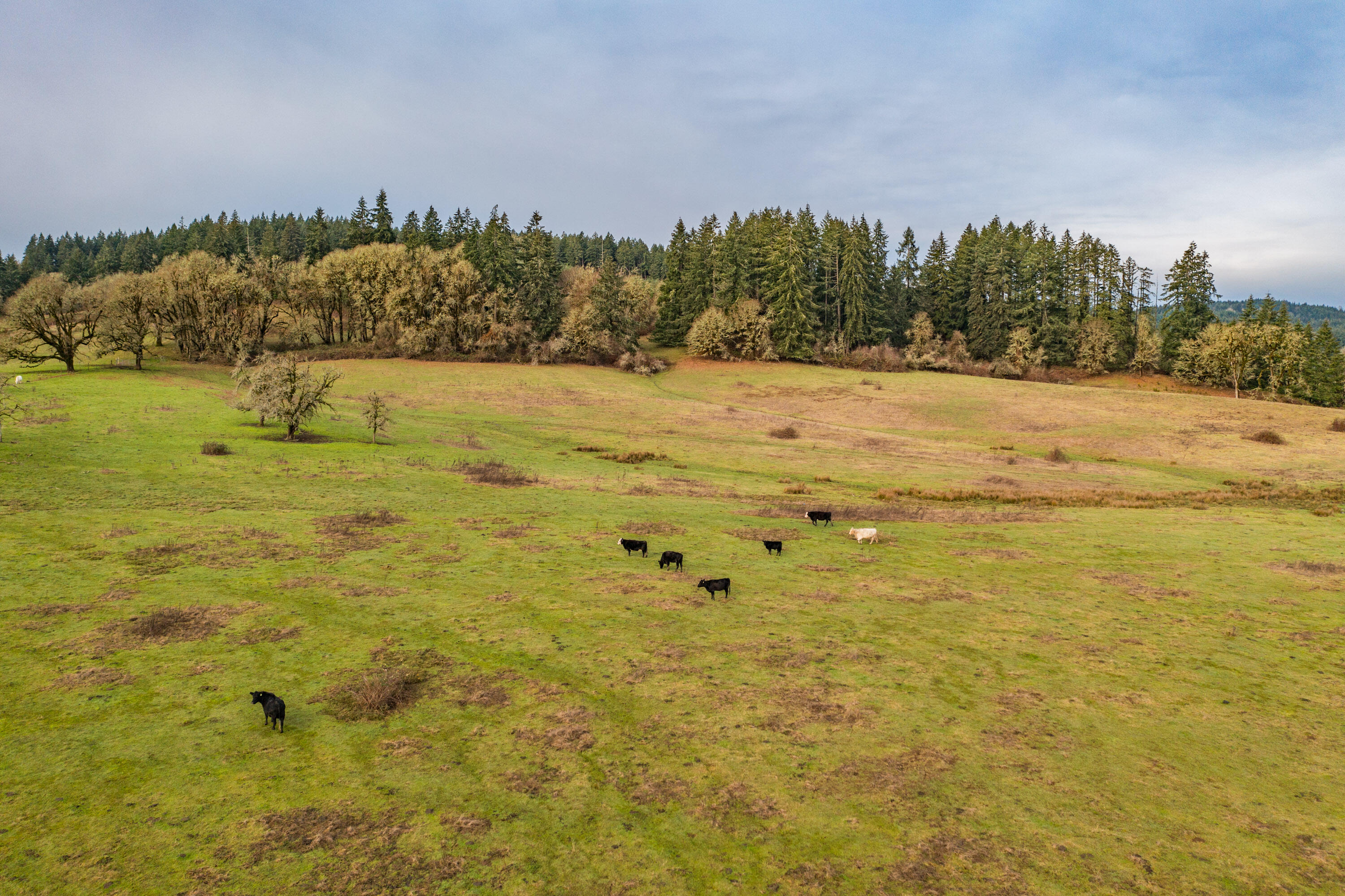 0 Airlie Road Monmouth, OR 97361 - Photo 10 of 33 Export-0823