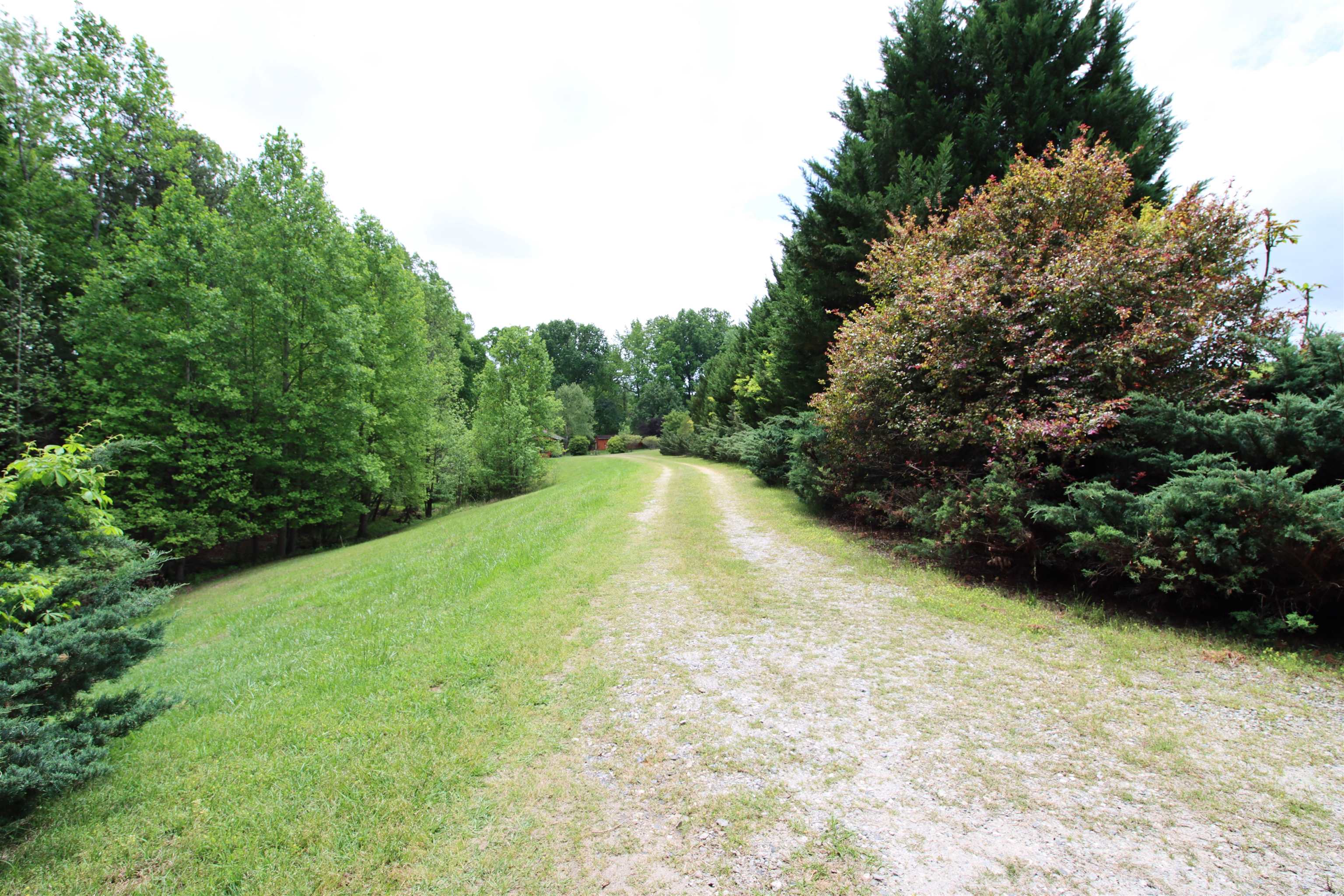 1920 Landrum Mill Road Campobello, SC 29322 - Photo 15 of 46