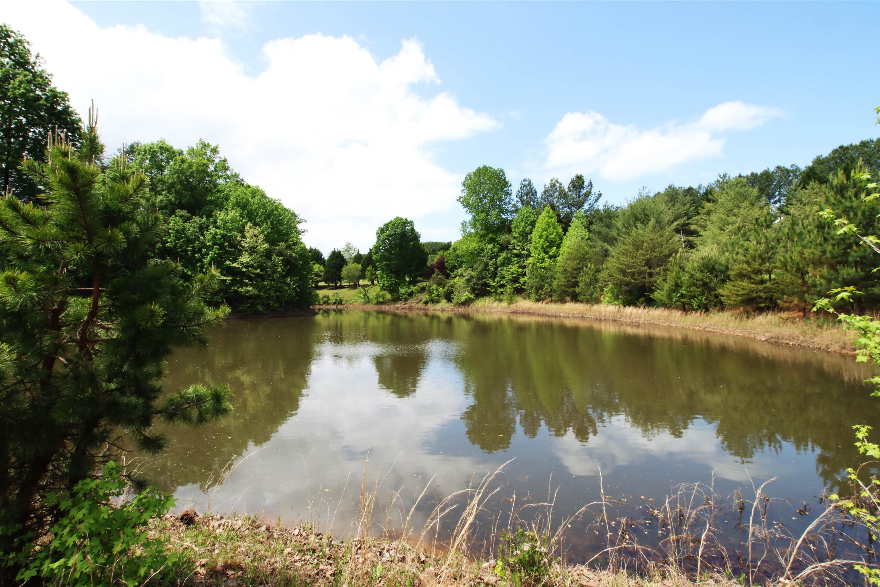 1920 Landrum Mill Road Campobello, SC 29322 - Photo 44 of 46