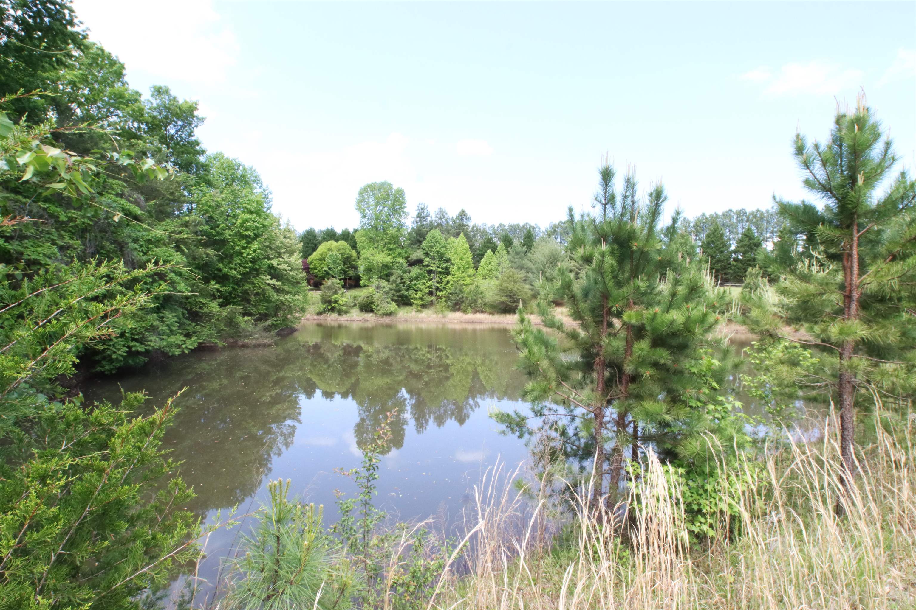 1920 Landrum Mill Road Campobello, SC 29322 - Photo 45 of 46