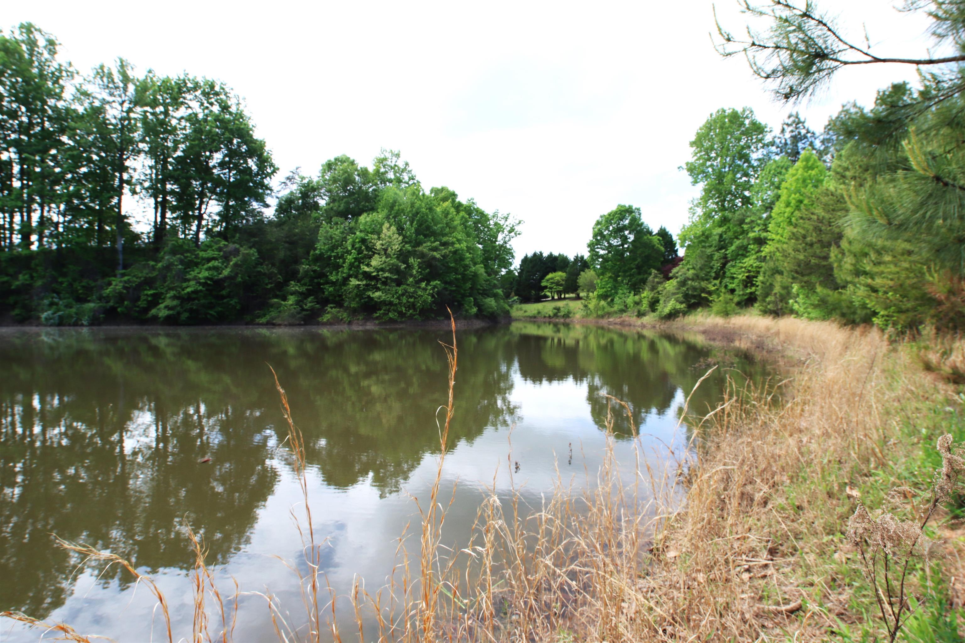 1920 Landrum Mill Road Campobello, SC 29322 - Photo 46 of 46