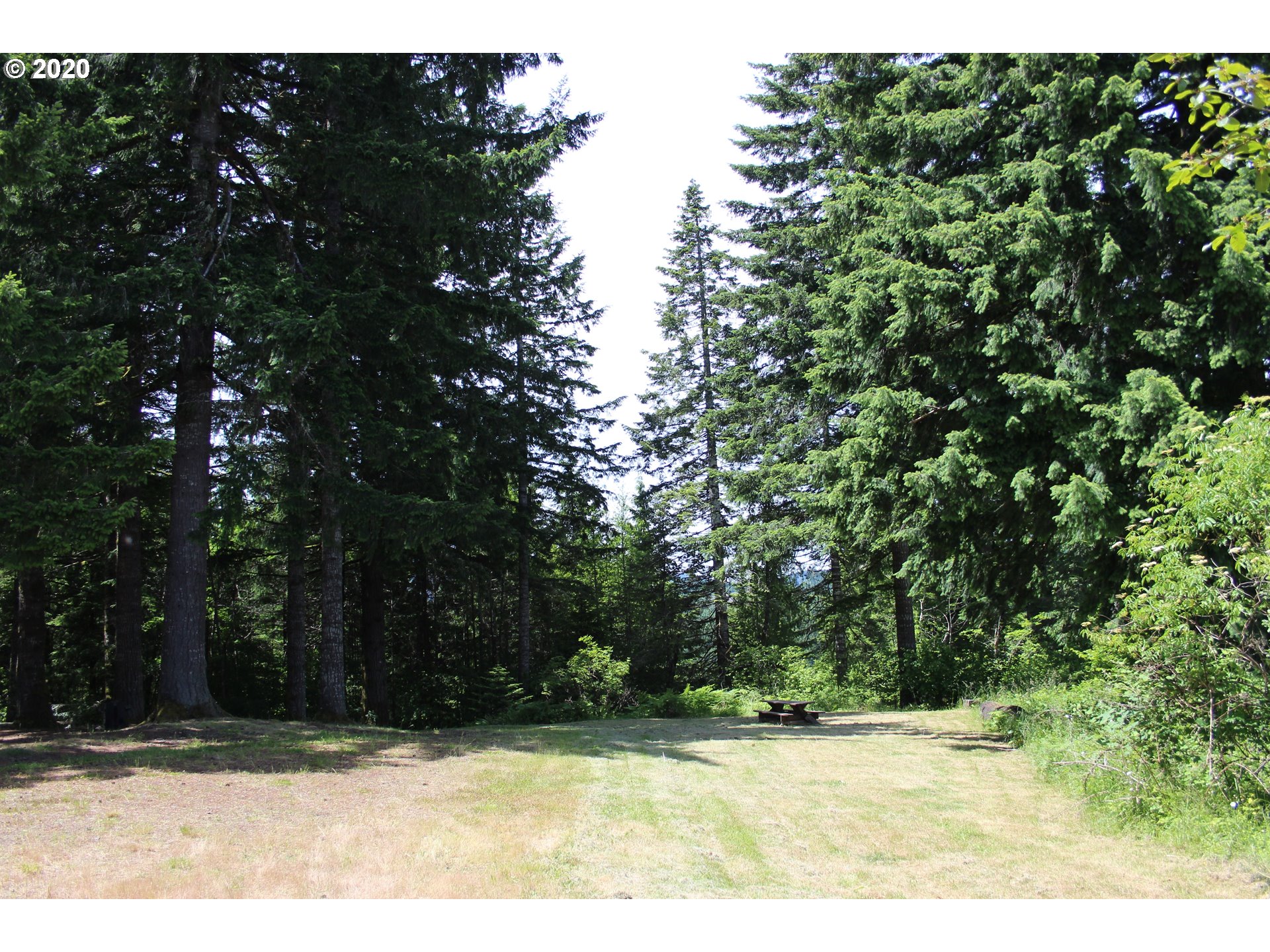 27058 Northwest Timber Road Forest Grove, OR 97116 - Photo 10 of 13 Gallery Image 10