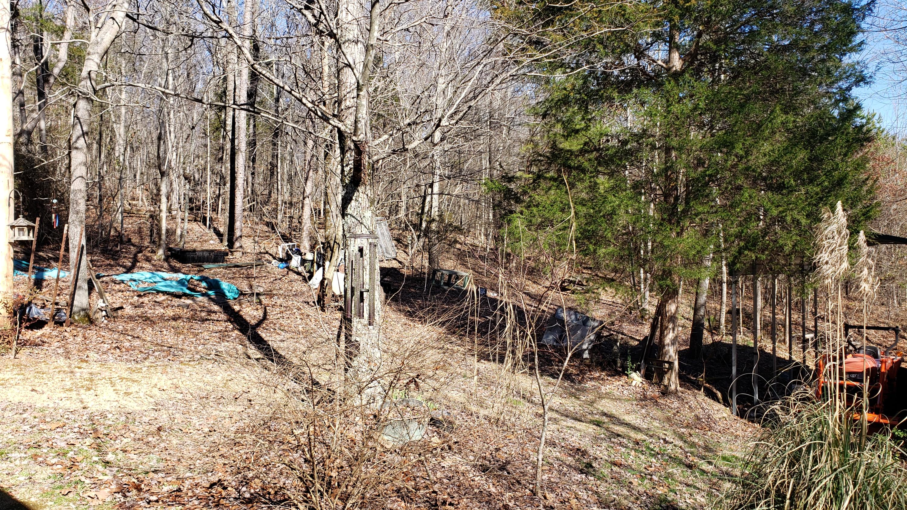 5101 Estes Road Loudon, TN 37774 - Photo 7 of 11 20210302_150101