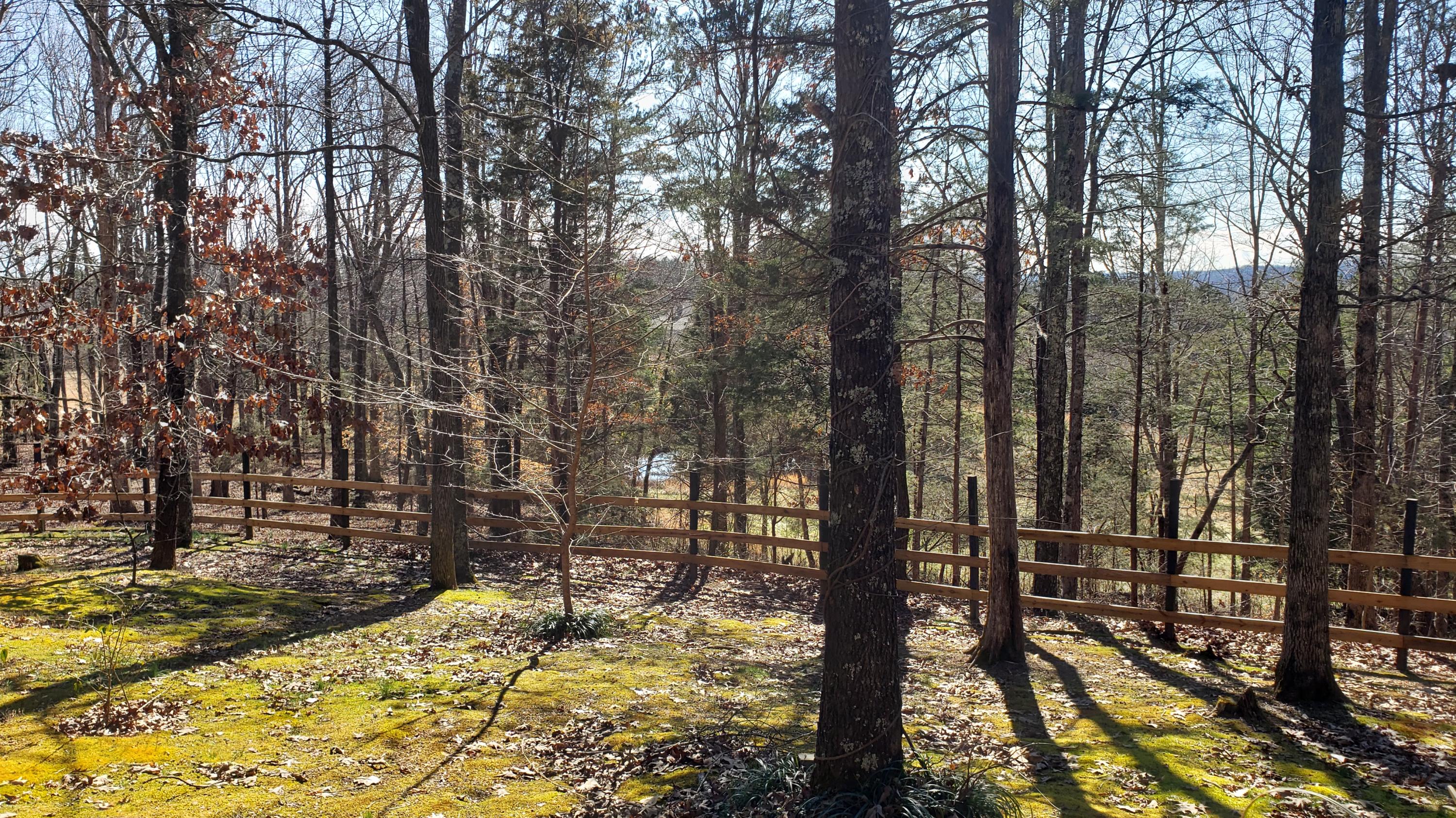 5101 Estes Road Loudon, TN 37774 - Photo 9 of 11 20210302_150141