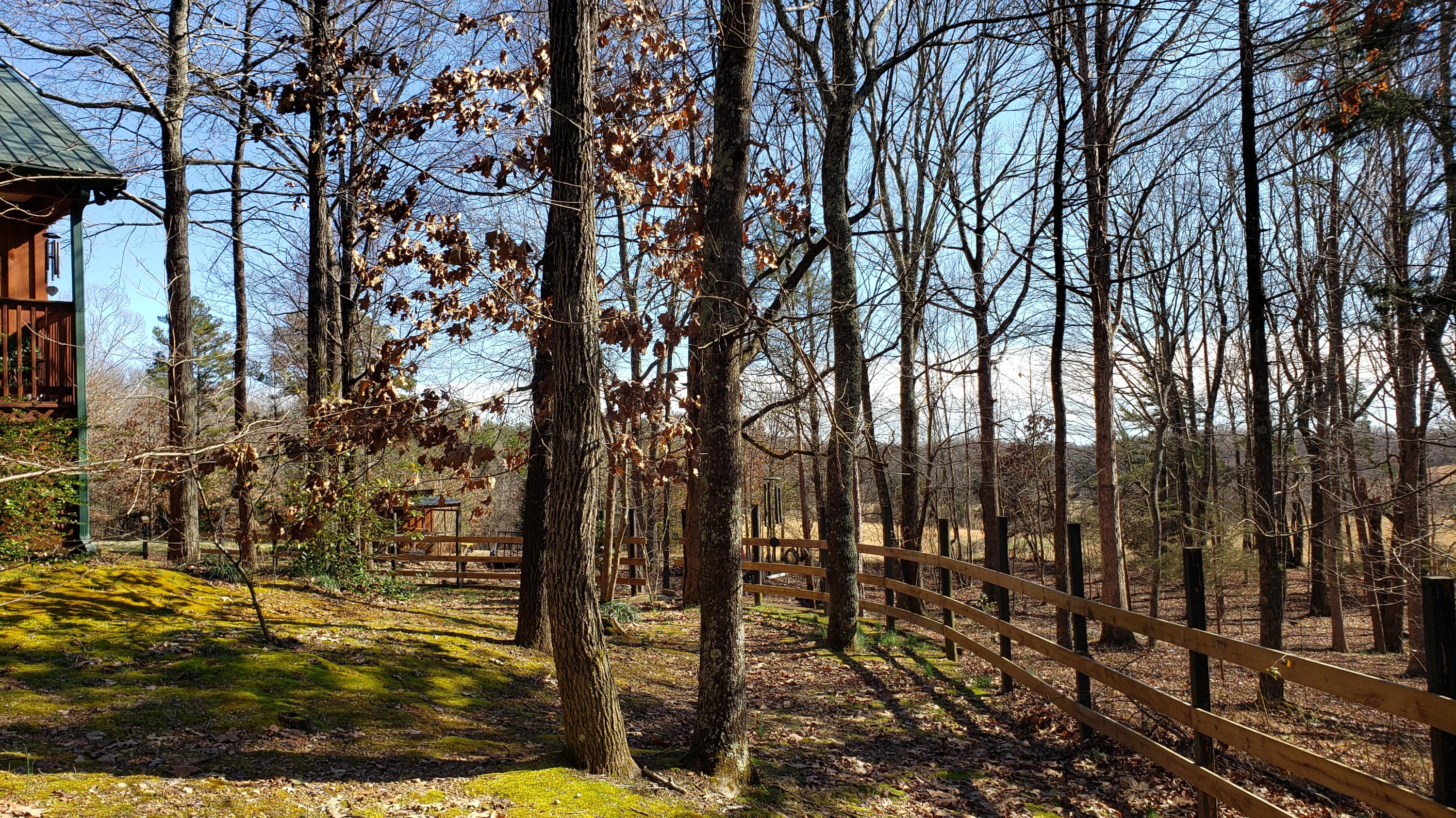 5101 Estes Road Loudon, TN 37774 - Photo 10 of 11 20210302_150218
