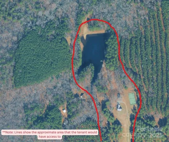 a view of a bird bath