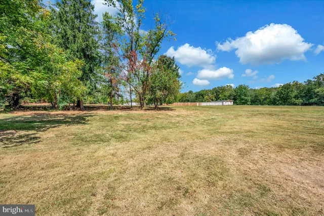 a view of outdoor space with yard and trees in the background