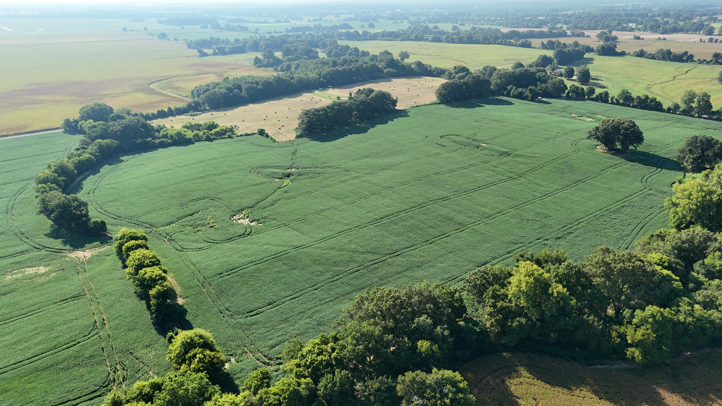 3920 Antioch Highway 51 Road Covington, TN 38019 - Photo 23 of 32 DJI_20250819103648_0138_D