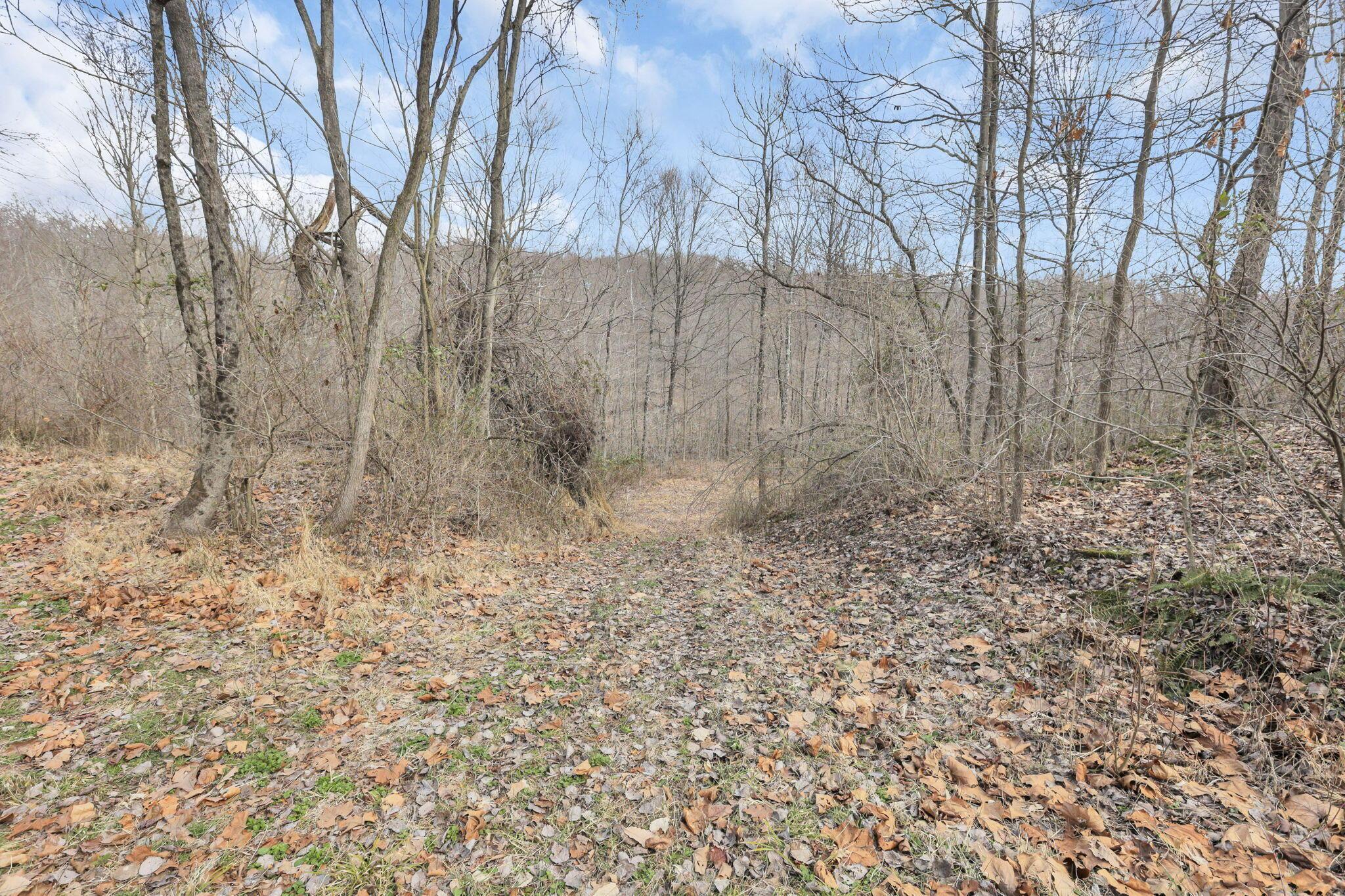 9814 Wesley Chapel Road Mount Perry, OH 43760 - Photo 42 of 56 Acreage