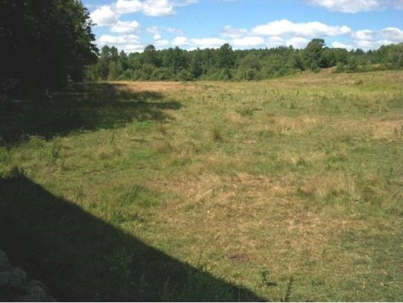 Lot 128 Webster Mills Road Chichester, NH 03258 - Photo 1 of 1 Gallery Image 1