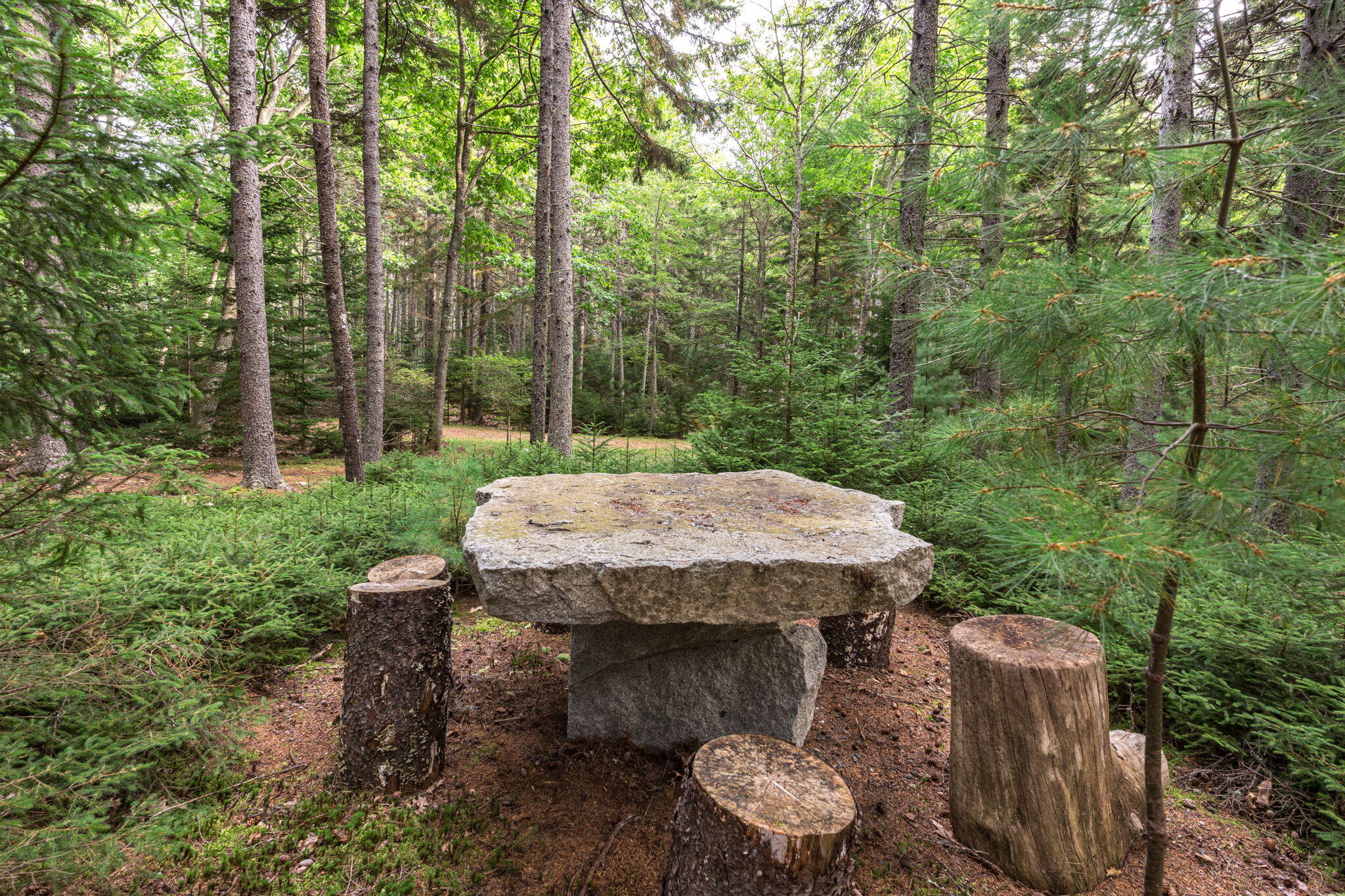 31 Harbor Road Brooksville, ME 04617 - Photo 109 of 126 Gorgeous Trails