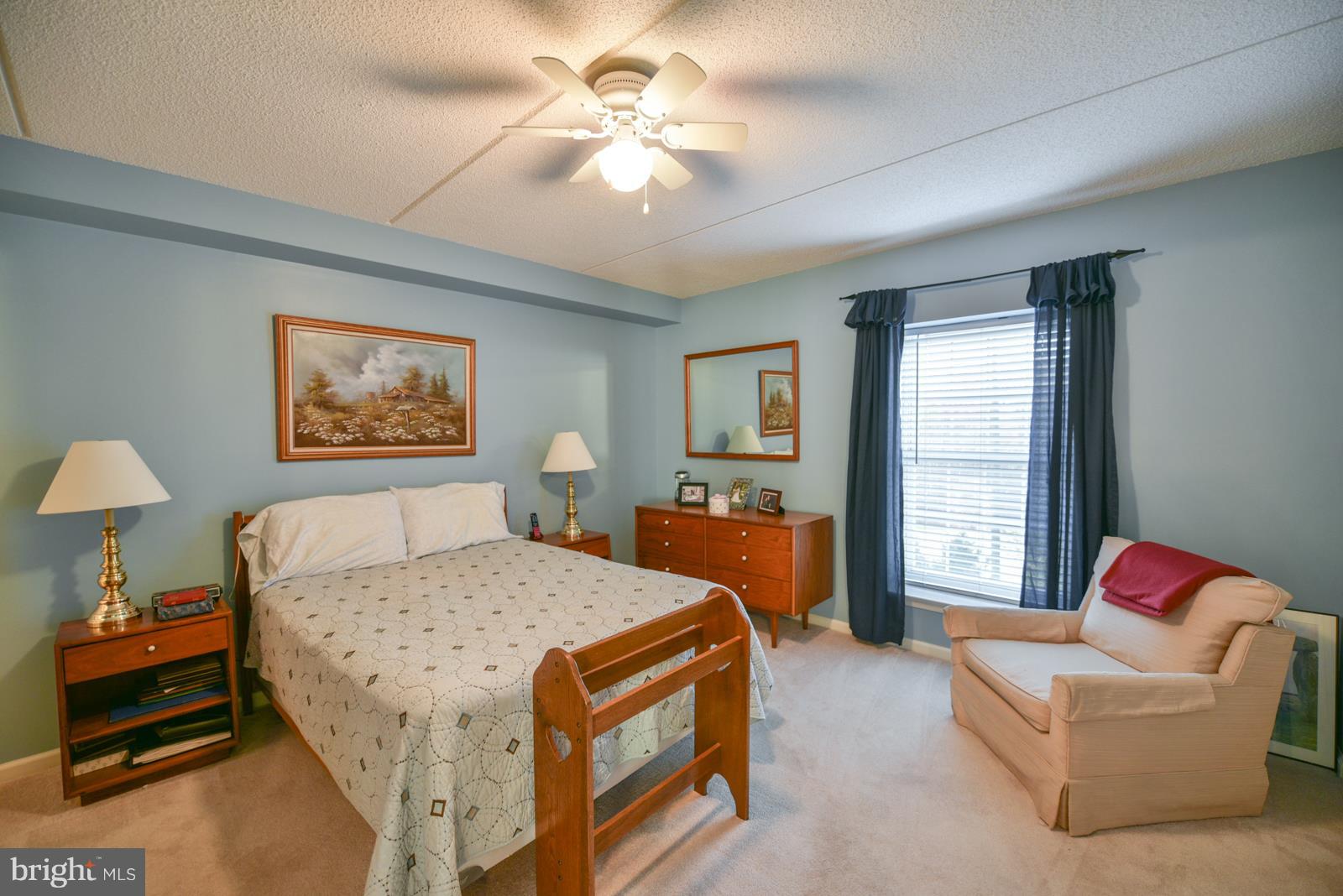 539 Brandon Road, Unit 53 Norristown, PA 19403 - Photo 11 of 18 main bedroom