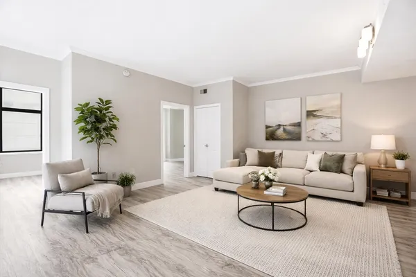 a living room with furniture and a potted plant