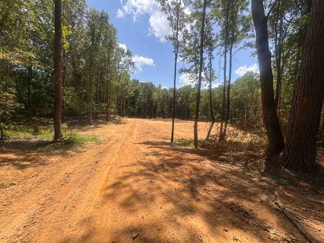 a view of empty space with trees