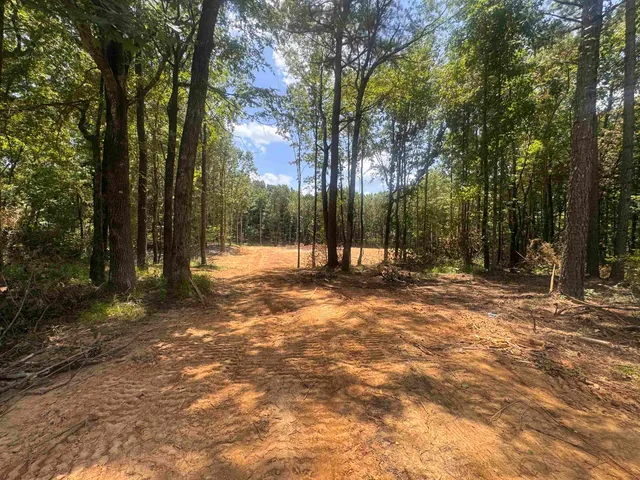 a view of outdoor space with trees