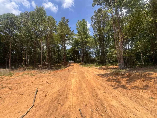 a view of backyard space
