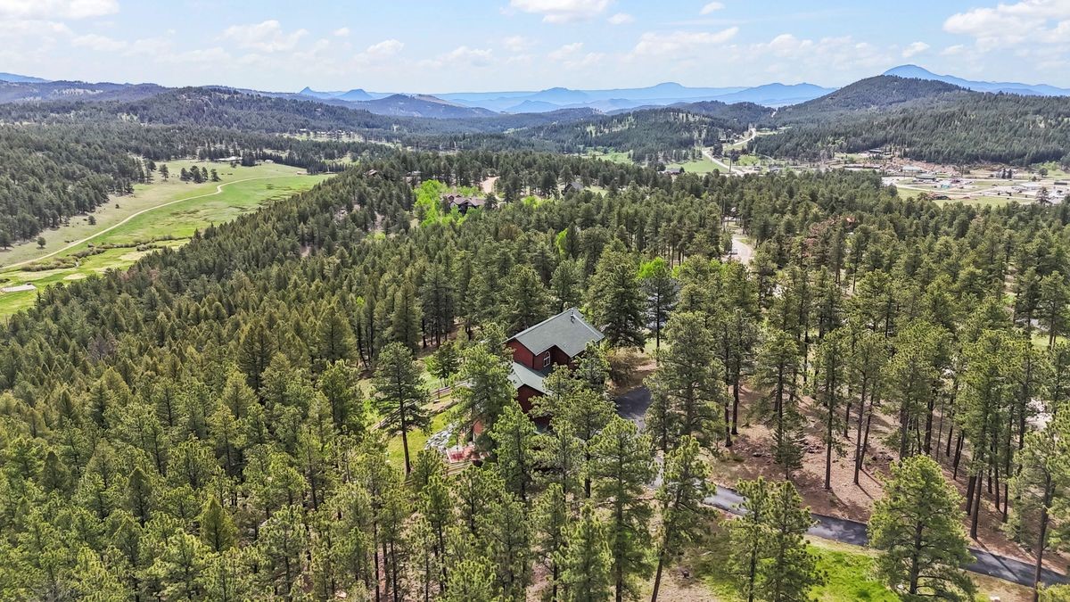 163 Old Corral Road Bailey, CO 80421 - Photo 44 of 50