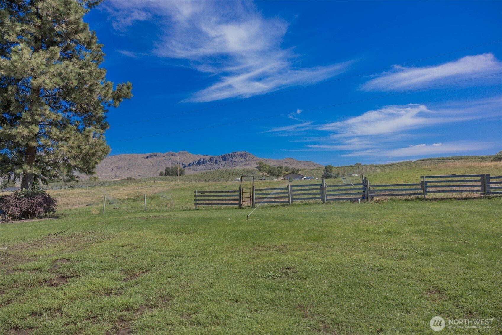 12 A Temby Road Tonasket, WA 98855 - Photo 34 of 36 a view of a field with an trees