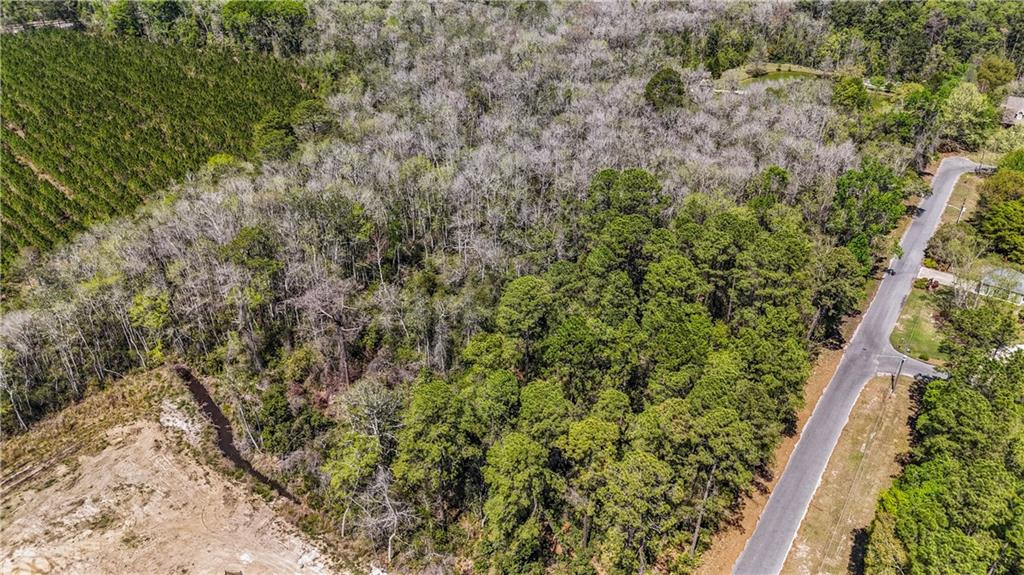 0 Littlefield Street Jesup, GA 31546 - Photo 3 of 5