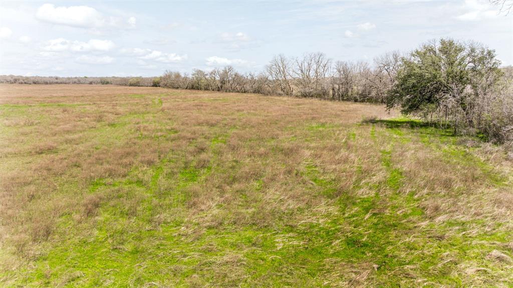 Lot 8 Ranches At Comanche Point Carlton, TX 76436 - Photo 11 of 30