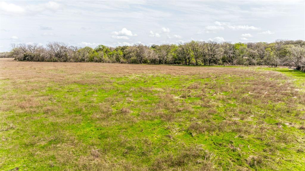 Lot 8 Ranches At Comanche Point Carlton, TX 76436 - Photo 13 of 30