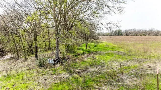 $85,000 | Lot 8 Ranches At Comanche Point, Carlton, TX 76436