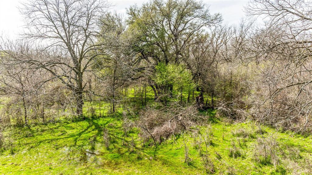 Lot 8 Ranches At Comanche Point Carlton, TX 76436 - Photo 25 of 30