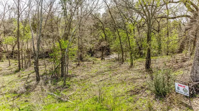 $85,000 | Lot 8 Ranches At Comanche Point, Carlton, TX 76436