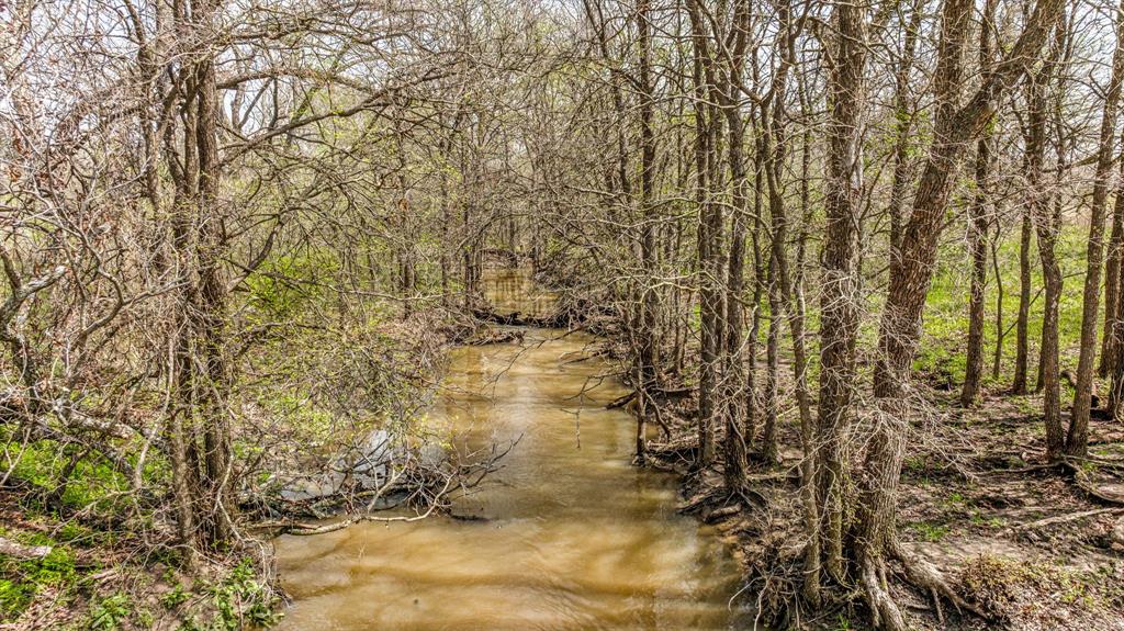 Lot 8 Ranches At Comanche Point Carlton, TX 76436 - Photo 5 of 30