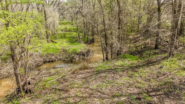 $85,000 | Lot 8 Ranches At Comanche Point, Carlton, TX 76436