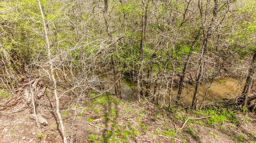 Lot 8 Ranches At Comanche Point Carlton, TX 76436 - Photo 7 of 30