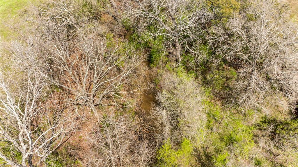 Lot 8 Ranches At Comanche Point Carlton, TX 76436 - Photo 9 of 30