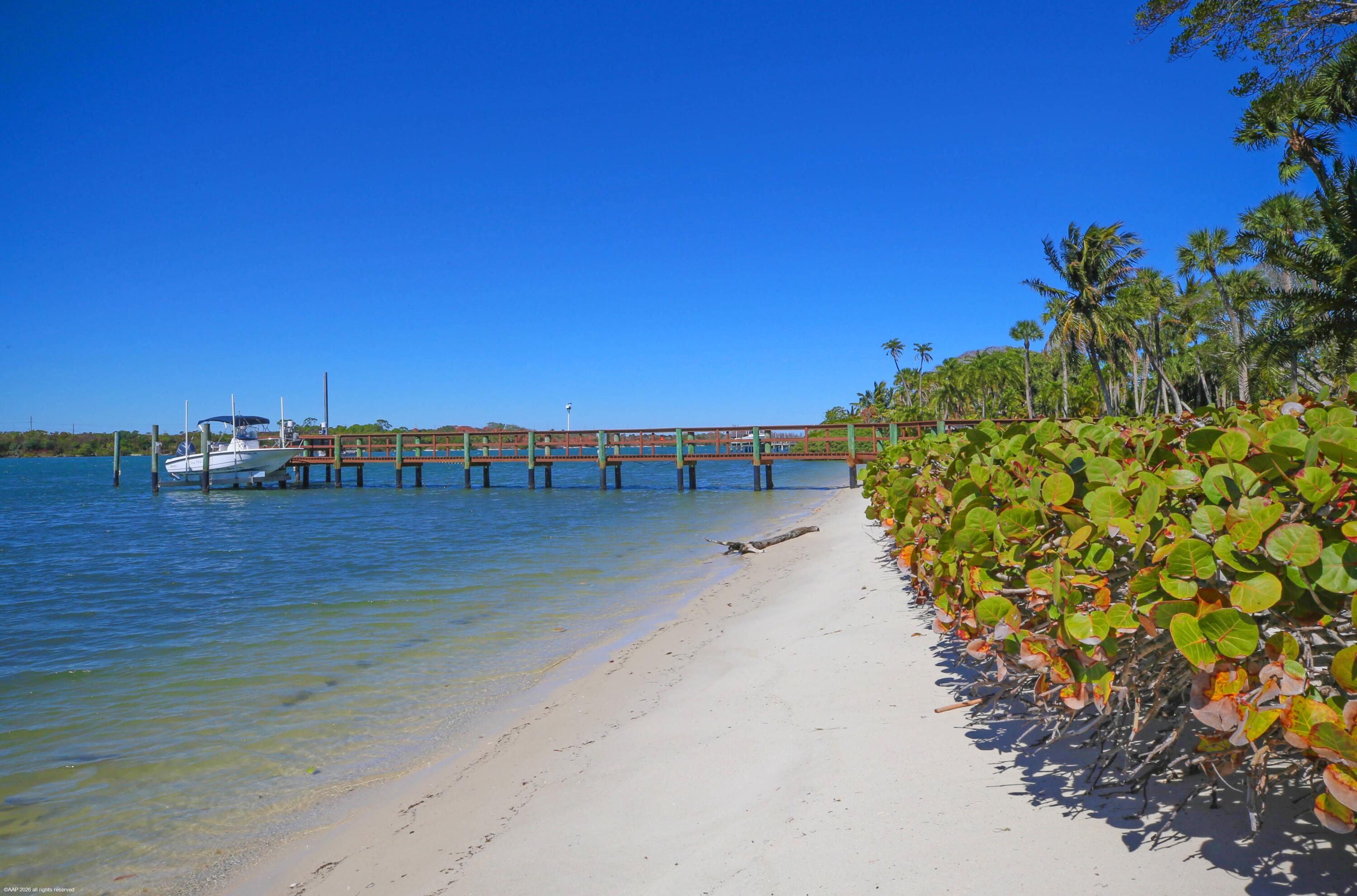 228 South Beach Road Jupiter Island, FL 33455 - Photo 38 of 40 a view of tall trees with wooden floor