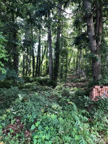a view of outdoor space and green space