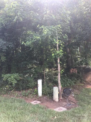 a view of a tree with fire pit