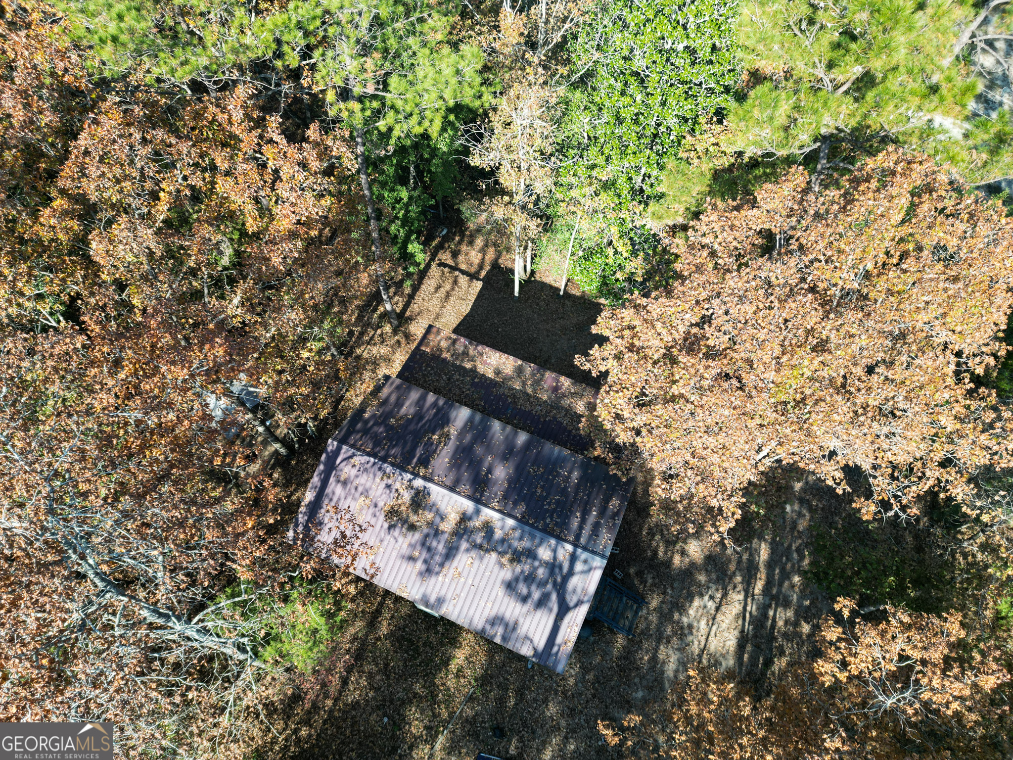 2286 Carter Bight Landing Road Surrency, GA 31563 - Photo 19 of 35 a view of a tree with a tree in the background