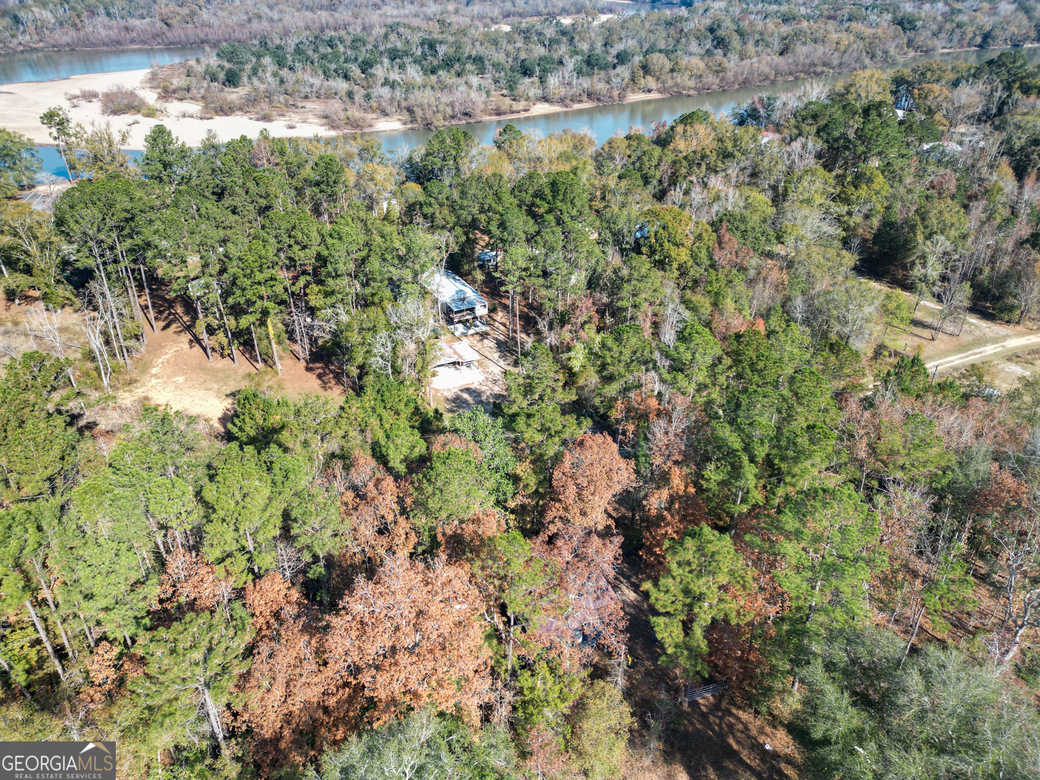2286 Carter Bight Landing Road Surrency, GA 31563 - Photo 23 of 35 a view of a forest with a house